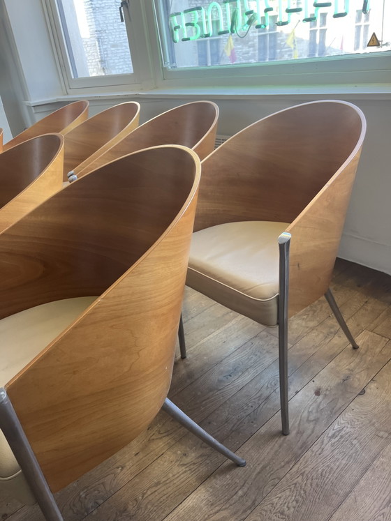 8x Aleph Starck King Costes – Philippe Starck, Sedie da pranzo, Leather, Wood (photo 8 of 9)