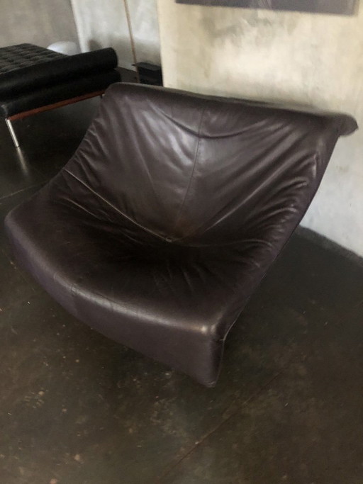 Vintage Butterfly Chair Gerard Van Den Berg Montis 1985