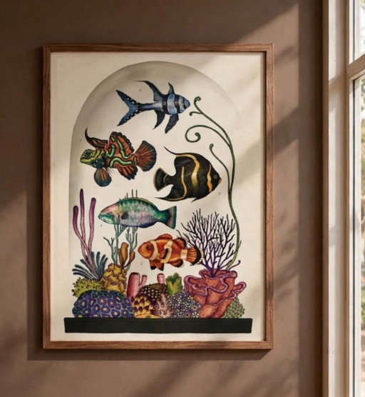 Illustration Encadrée Poissons Façon Musée – wanddecoratie, Paper