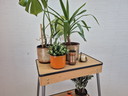 Plant table (Karba film projector table) Vintage side table
