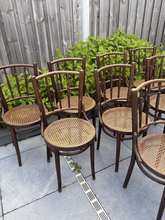 Image 1 of 8 vintage Thonet stijl bistro stoelen Romania webbing zitting