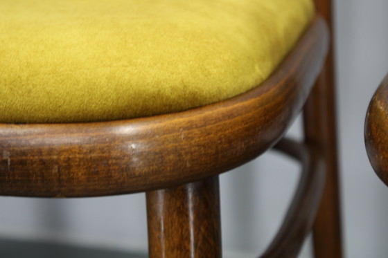 Image 1 of Juego de cuatro sillas de comedor de madera curvada de haya restauradas de la década de 1970, de TON, Checoslovaquia