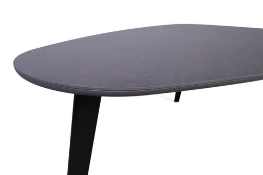 Leolux Bondi dining table