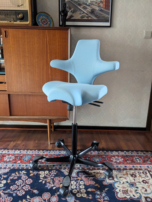 Sedia Hag Capisco 8106