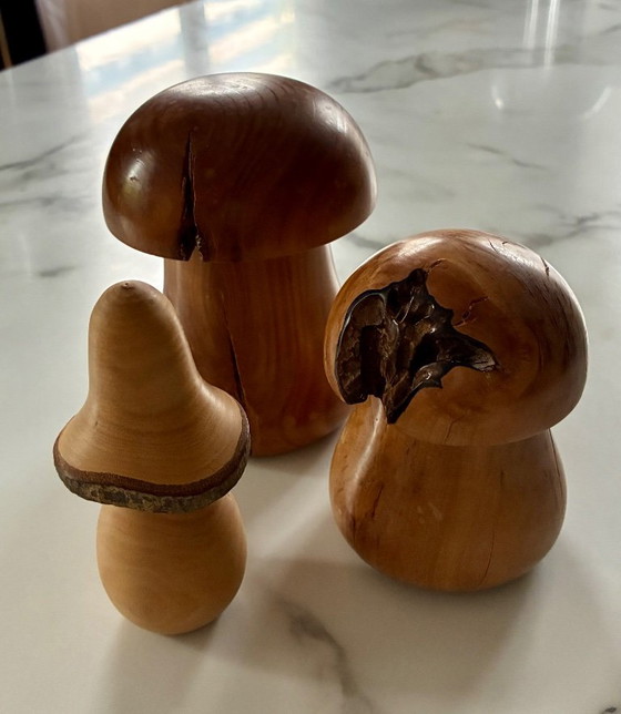 Set di 3 funghi in legno tornito – Oggetti decorativi (photo 2 of 11)