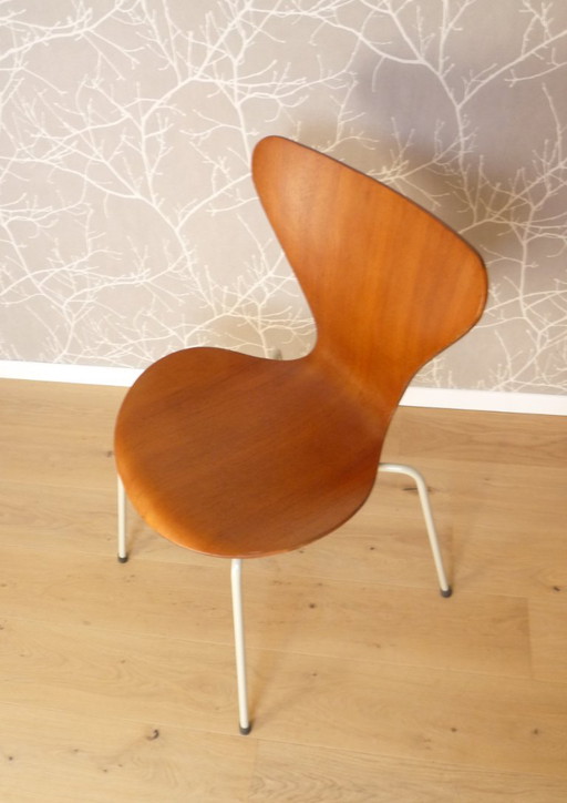 Silla Mod.  3107 Teka / Gris