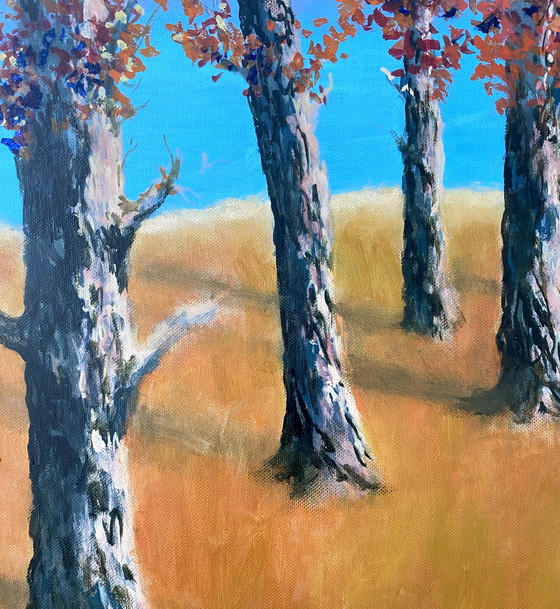 Image 1 of Sea Meets Land