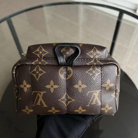 Image 1 of LOUIS VUITTON PALM SPRING MINI - RUCKSACK AUS CANVAS MIT MONOGRAMM