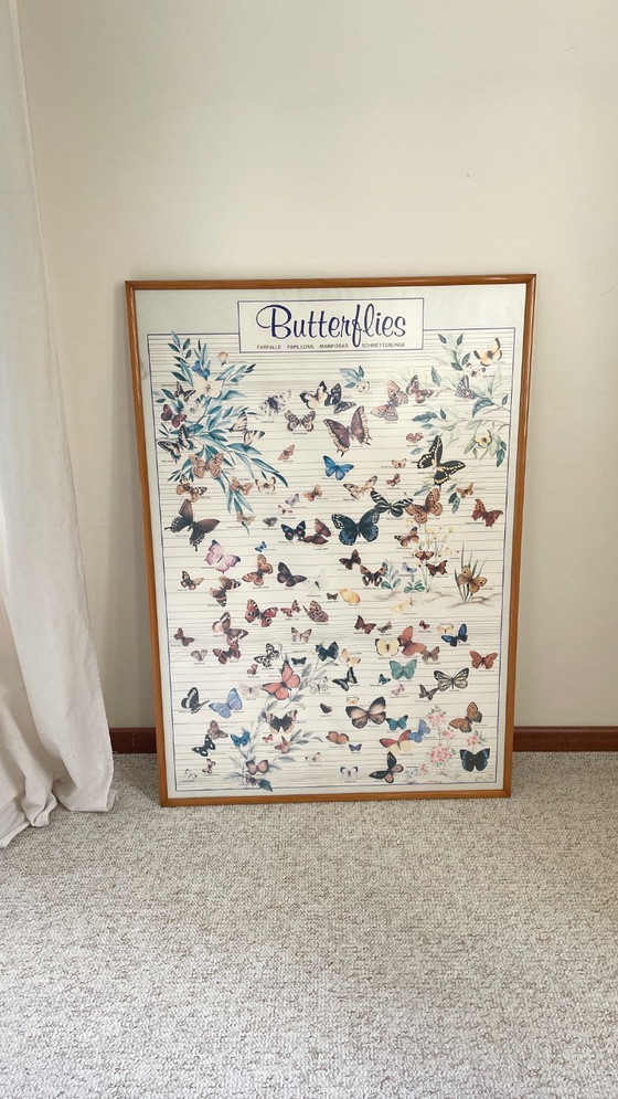 Image 1 of TABLEAU Affiche BUTTERFLY Italy