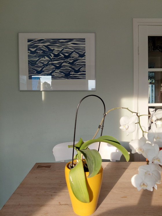 Image 1 of "BIRDS FLYING ABOVE THE SEA" Gallery Suncorner
