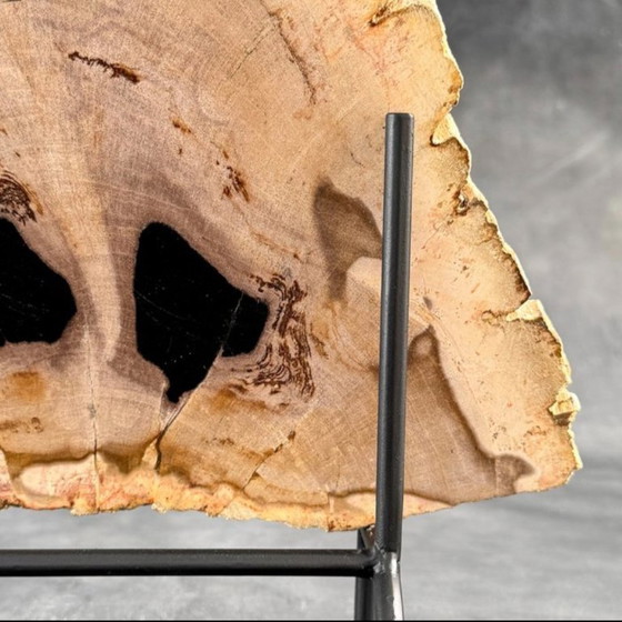 Image 1 of Magnifique pièce de bois pétrifié sur un support sur mesure BS-9