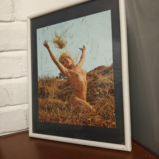 Original 1960s Magazine Photography – Exclusive – Framed – wanddecoratie, Paper, Wood