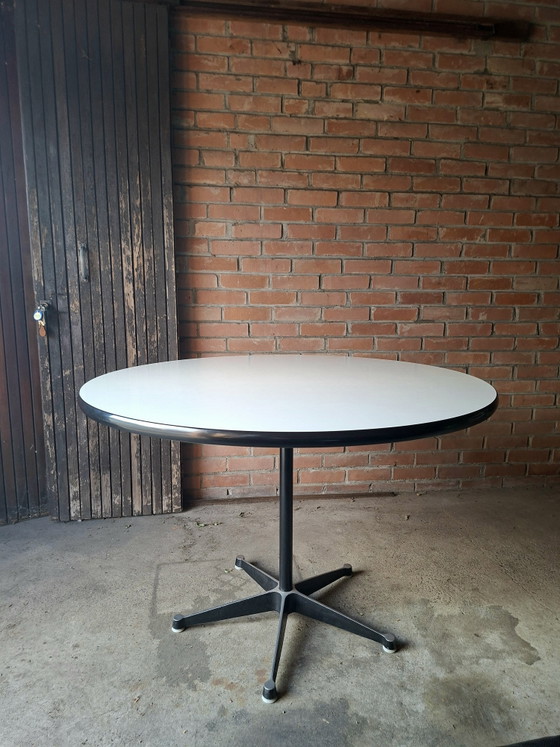 Eames Tisch 650 – Herman Miller, Tische, Plastic, Aluminium (photo 6 of 13)