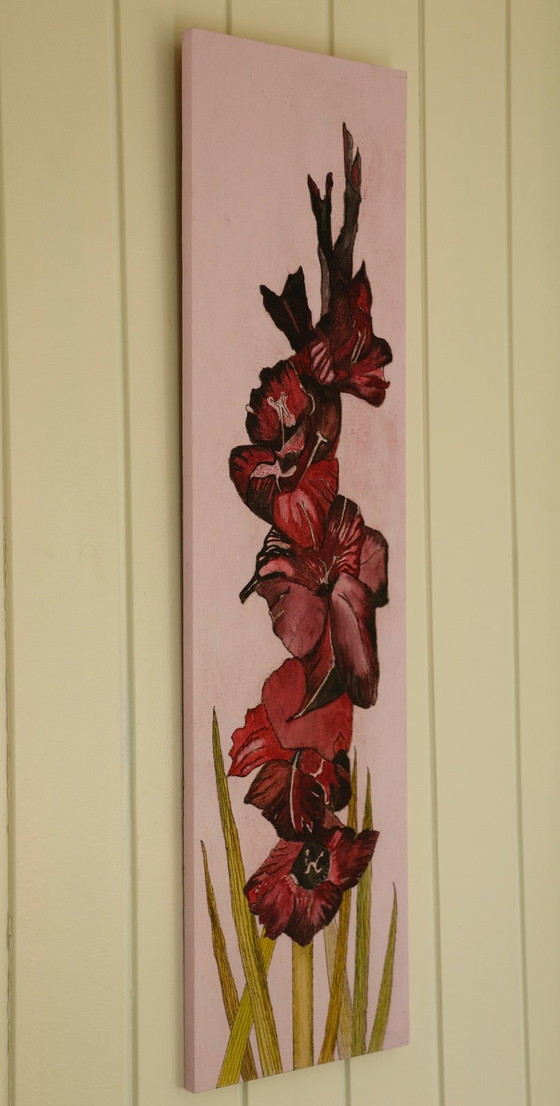 Image 1 of Galerie « L'Étoile Noire Mystérieuse » Suncorner