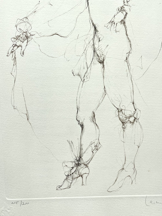 Image 1 of Leonor Fini, Rey, Litografía rara sobre papel Arches, circa 1980