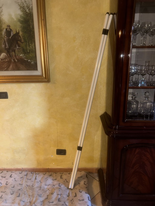 Computación de la era espacial de los apendiabiti por skipper di Giotto stoppino