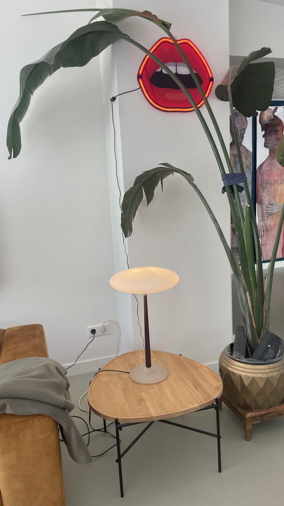 Image 1 of PAO T2 Arteluce table lamp