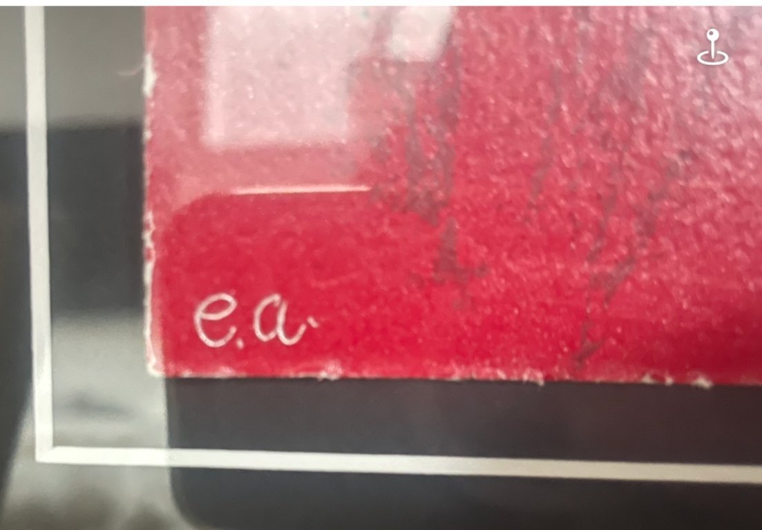 Herman Brood – Purple Haze (E.A.) – Handgesigneerd + Certificaat