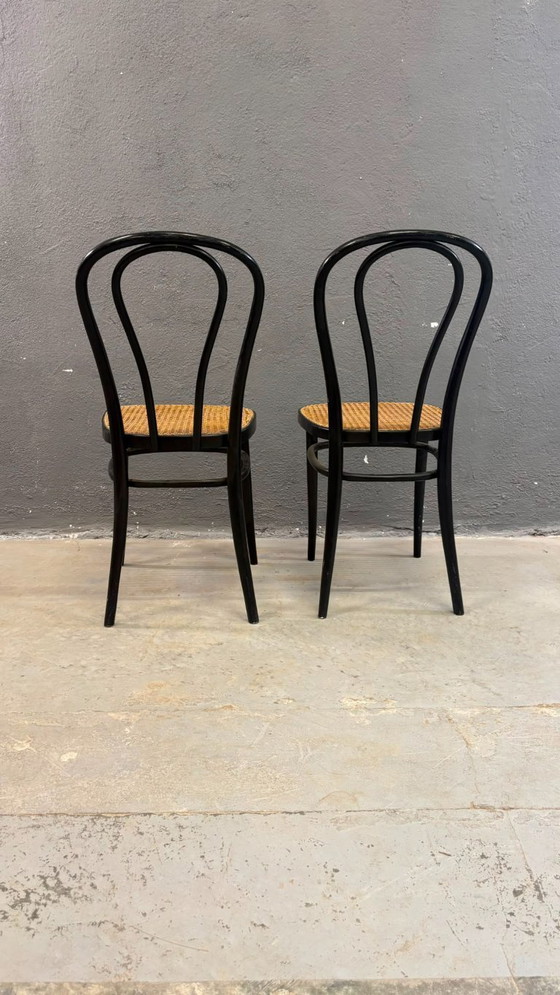 Image 1 of Een paar gebogen houten stoelen, met Weense rieten zittingen, jaren 60, Polen