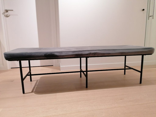 Dottore della Banc House