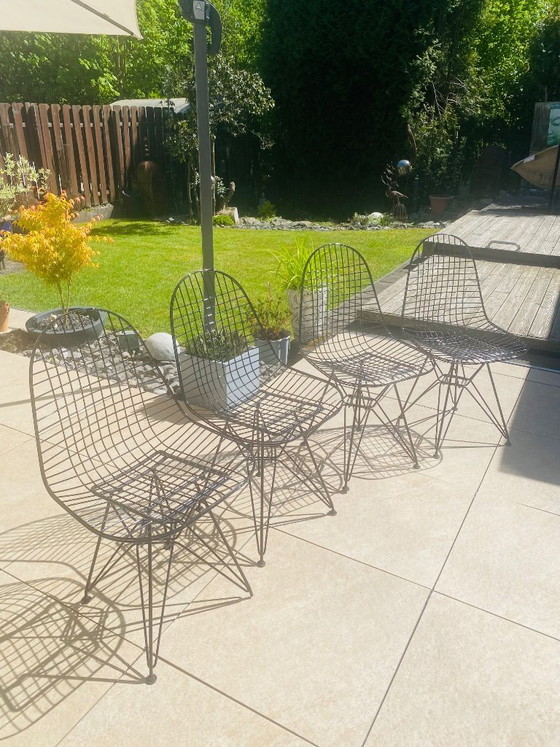 Image 1 of Vitra - Wire Chair DKR In Outdoor Design Ray/charls Eames