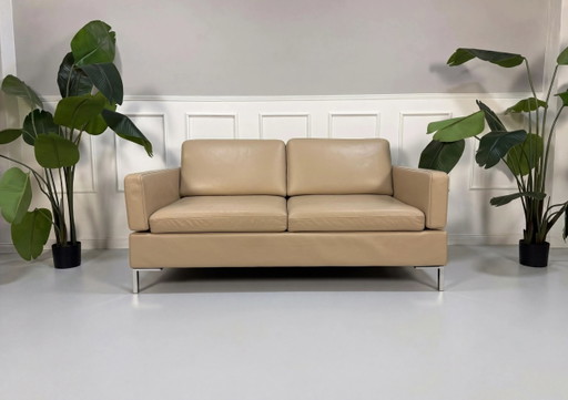 Brühl Alba Sofá de diseño Sofá Leder beige
