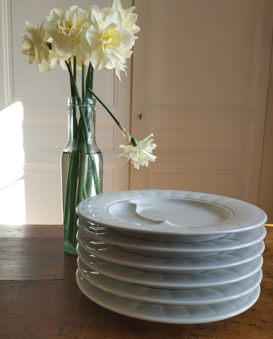 Image 1 of 6 Porzellan-Artischockenteller von Pillivuyt