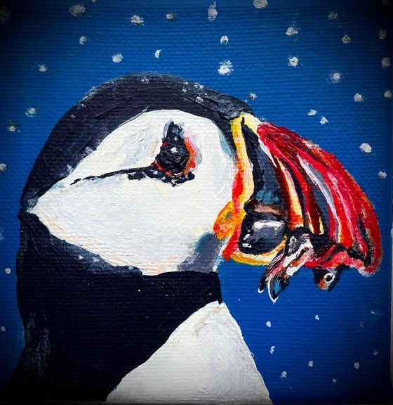 Image 1 of portrait of a puffin