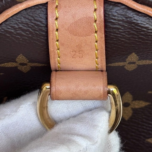 Louis Vuitton Speedy – crossbody tassen, Calfskin (photo 2 of 12)