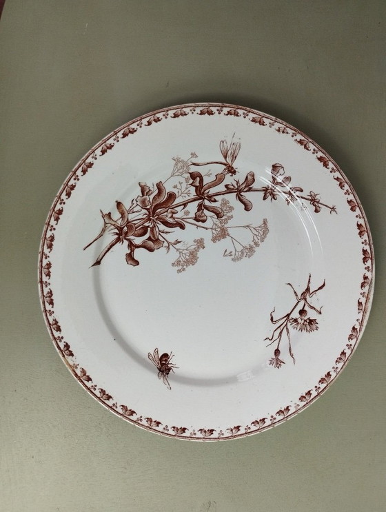 Image 1 of "Carmen" - 5 dinner plates ø 23.5cm ironstone Sarreguemines U&C