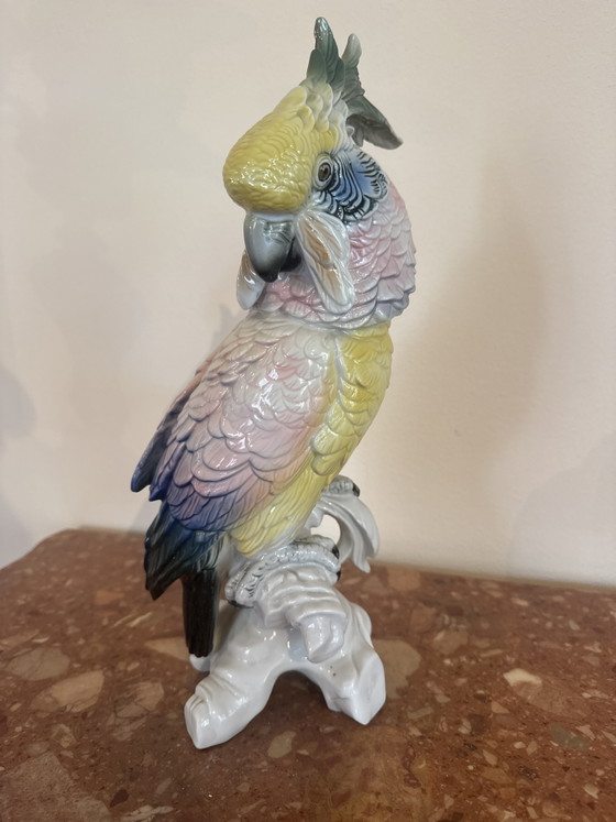 Porzellankakadu aus der Manufaktur Karl Ens – Dekorative Objekte, Porcelain (photo 5 of 7)