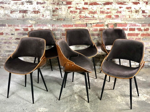 Conjunto de 6 sillas escandinavas de madera y terciopelo, años 2000