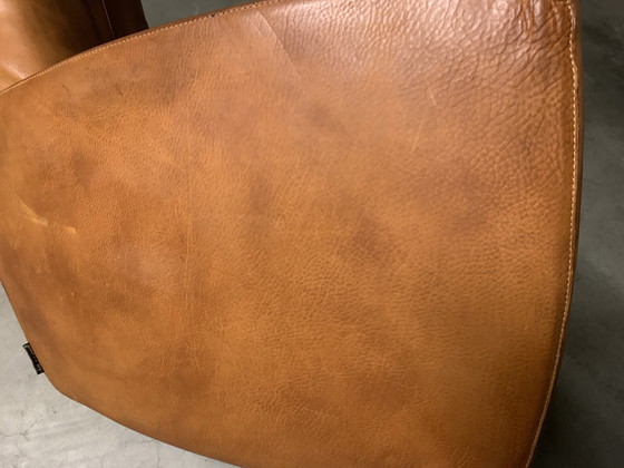 Image 1 of « LONGA » Gerard van den Berg avec harnais en cuir/cuir de buffle.