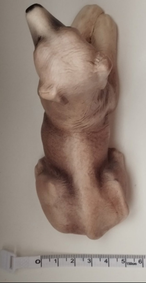 Image 1 of Borsa vintage in pelle Greyhound Château modellata a mano di metà secolo (Canada)