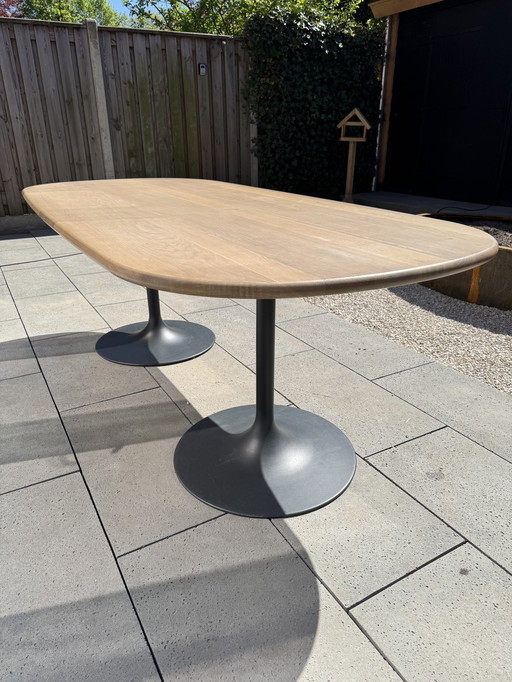 Artifort Clarion Boat-shaped Dining Table of Oak Veneer