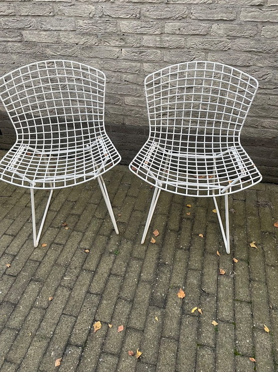 Originele Harry Bertoia Vintage Draadstoel – Vintage Wire Side Chair Van Knoll – 6 Stuks – Tuinstoelen, rvs (photo 3 of 5)
