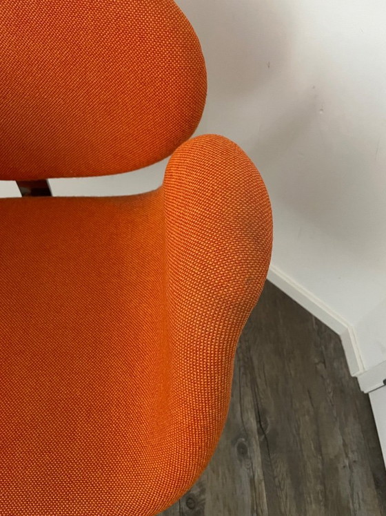 Image 1 of Artifort Little Tulip F163 Swivel Armchair