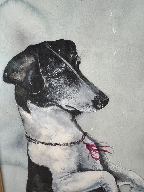 Image 1 of Gráficos Bruno Bruni