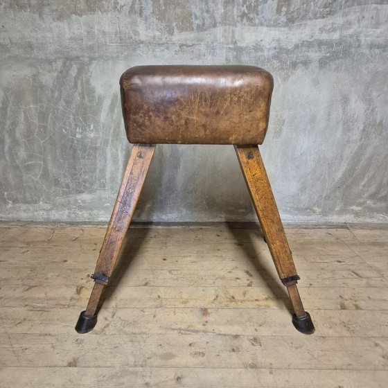 Image 1 of Vintage turnpaard, Tsjecho-Slowakije, jaren 60