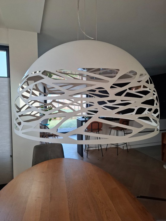 Image 1 of Lodes Kelly Large Dome 80 cm