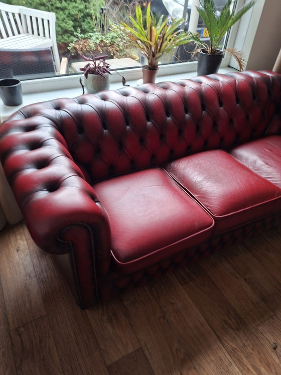 Chesterfield Spingvale Rossendale 1, 2 e 3 Posti – Zona salotto, Leather, Wood (photo 5 of 11)