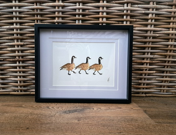 Image 1 of Watercolor Canadian Geese | Framed