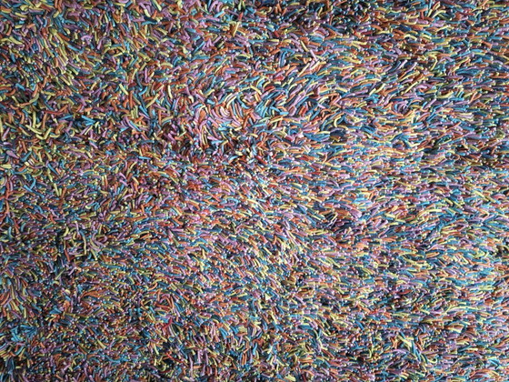 Image 1 of Brinker rug multi, wool, 170 x 230 cm