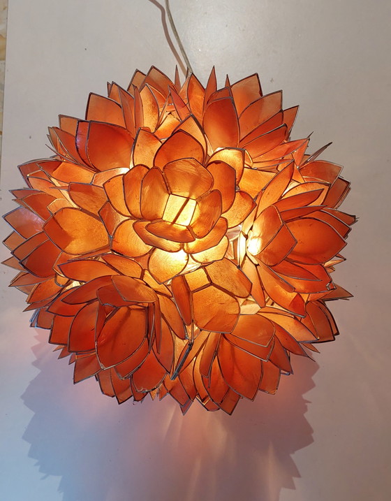 Image 1 of Coral Cadiz Mid Century hanglamp van Rausch
