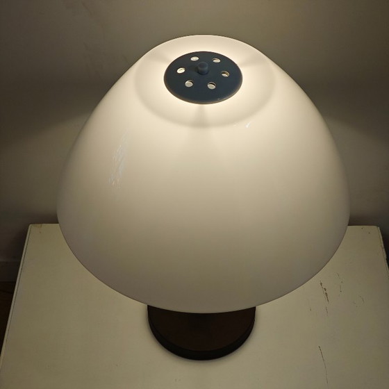 Vintage Dijkstra mushroom table lamp – Dijkstra Lampen, Metal, Plastic (photo 6 of 9)
