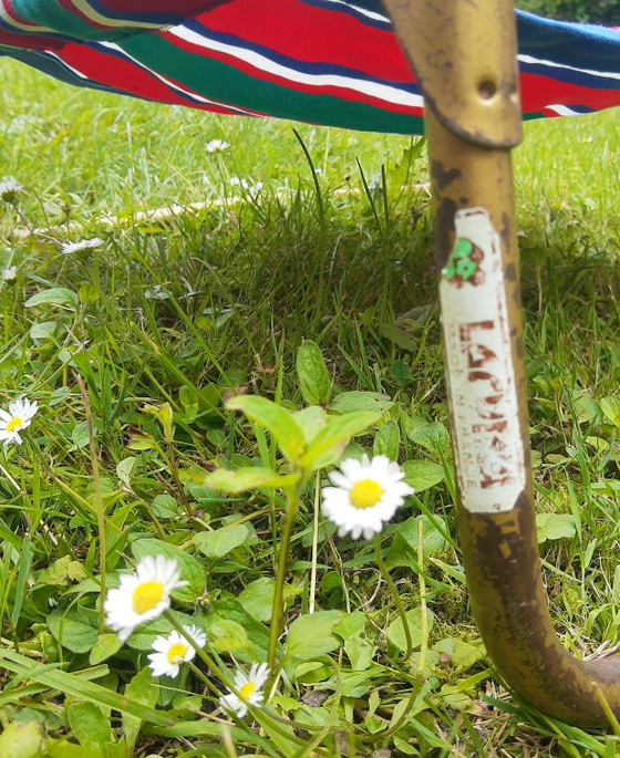 Image 1 of Set aus Lafuma-Campingstühlen aus den 60er-70er Jahren