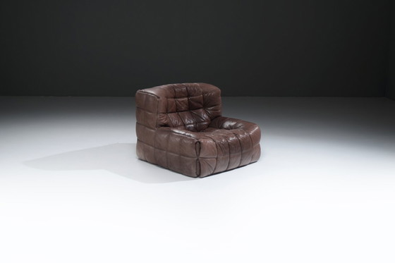 Image 1 of Atemberaubender, patinierter Kashima Lounge Chair (1982) von Michel Ducaroy - Ligne Roset