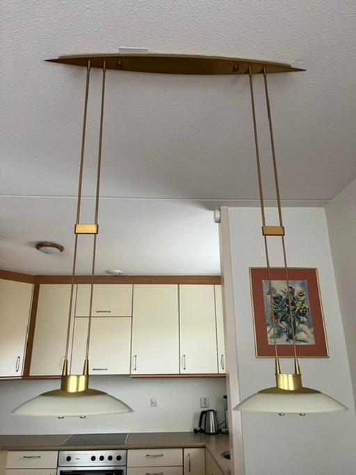 Holtköpper hanglamp (2 schuitvormige lampen) +