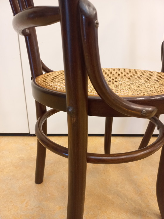 Image 1 of Satz von 3 Café-Stühlen im Thonet-Stil