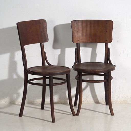 Paire de chaises Thonet en bois courbé avec dossier incurvé – Europe centrale, vers 1920